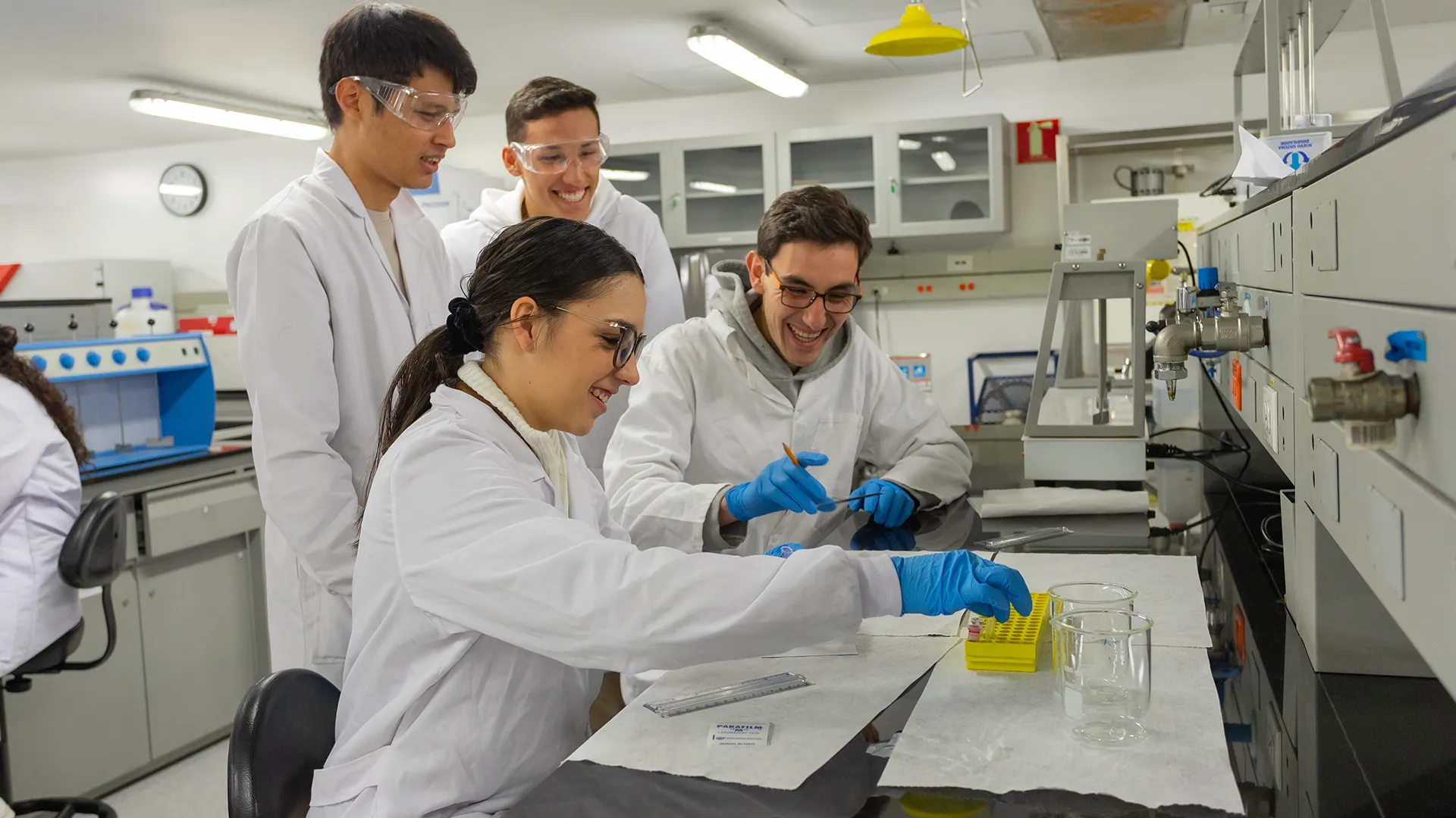 Lab. F&iacute;sico Qu&iacute;mico ML-206