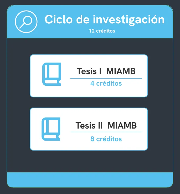 Gráfico Plan de Estudios Maestría Plan de Estudios Maestría Ingeniería Ambiental