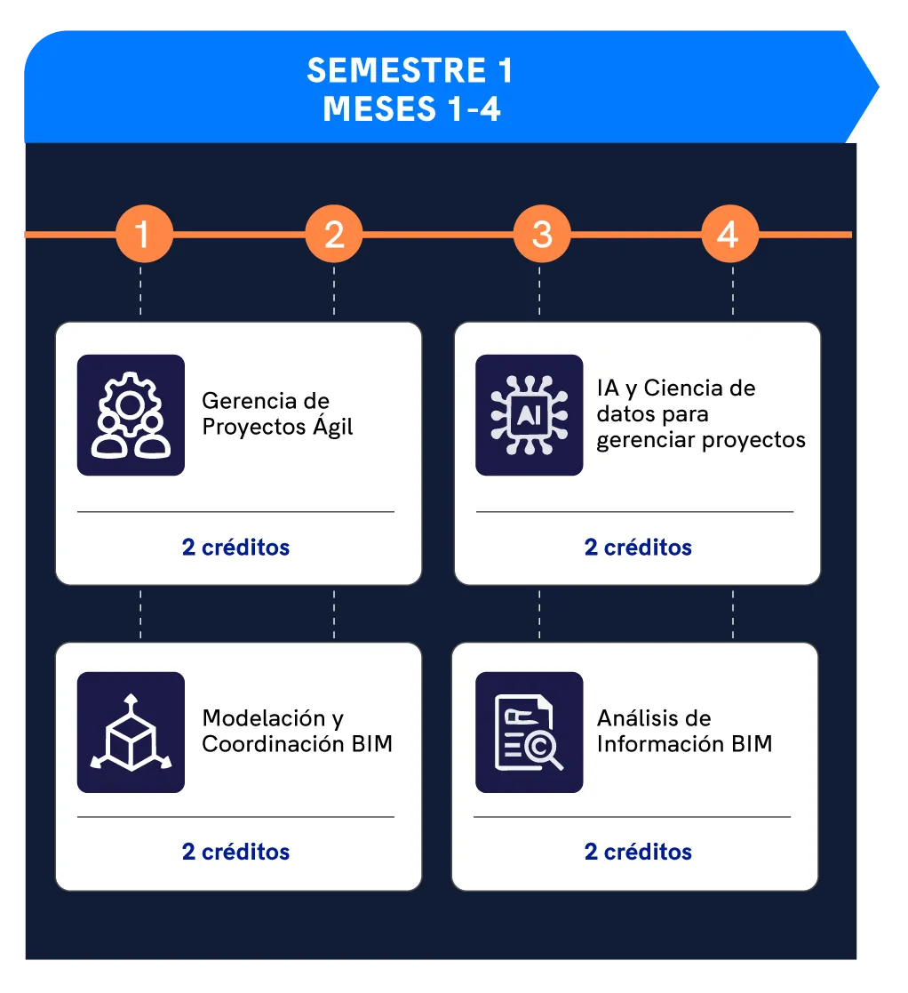 PlandEstudios_SemestresBIM_09.png plan de estudios 1
